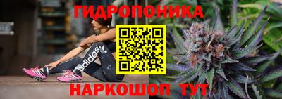 гашиш Новодвинск