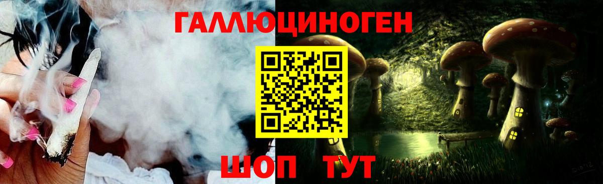 Тольятти  Псилоцибиновые грибы MAGIC MUSHROOMS  Вход с VPN  Псилоцибиновые грибы прущие грибы 